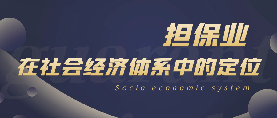 在社會經濟體系中的定位 在社會經濟體系中的定位